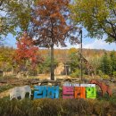 버스승차대 15-220 | 에버랜드 리버트레일 어드벤처 꿀팁 가격 시간 예약 로스트밸리 비교 후기