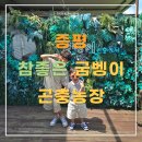 참좋은농장 | [충북/증평] 아이랑 가볼만한 곳 추천! 참좋은굼벵이 방문후기 충북 청주, 괴산, 진천, 음성 근교 곤충...