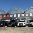 로즈마리플라워 | [용인] 용인 에르베 플라워 아울렛 방문 후기