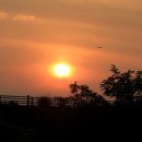 영동반점 이미지