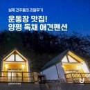 터애견펜션