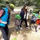 [2팀]호반어린이집 어린이 경암근린공원에서 숲문화체험활동 이미지