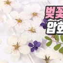 드라이하우스 이미지