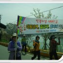 자양벚꽃100리길 이미지