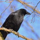 카페창업과정 이미지