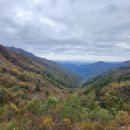 다희펜션 이미지