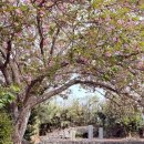 동산1리경로당 이미지