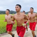 해병대6여단, 서울수복 기념 마라톤28.9㎞·9.28㎞… 의미 담아 코스 구성 이미지