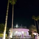 신라 과자점 | 제주 짬뽕 맛집, 제주신라호텔 풀사이드바 (+ 전복 한우 차돌박이 짬뽕, 피자)