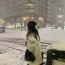 플러피독 | 25 wishlist (22) 겨울위시리스트𓈒𓂂𓏸 ⊹