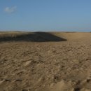 해안사구 이미지