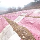 천수만농장 이미지