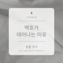 백호환경 이미지