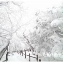 大雪 (대설) 큰 눈 象村( 상촌) 申欽(신흠) 이미지