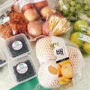 두루(DURU) 이미지