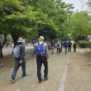 제 18차(5월 2일) 산행 후기 이미지