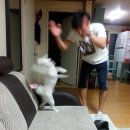 메이드공인중개사사무소 네이버블로그