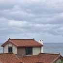 울진정비 | 울진 죽변 어부의집 여행코스｜폭풍속으로 촬영지+죽변등대+제일반점 비빔짬뽕 맛집 후기