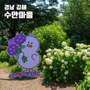 김해수 농장 | 부산 근교 꽃구경 가볼만한곳 김해 수안마을 수국 데이트 나들이 명소