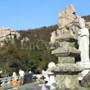 남해-33 Daum카페