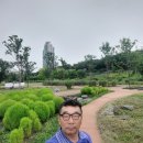 장미원 당구장 Daum카페