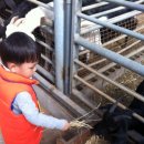 다민농장 이미지