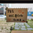 비스플라워