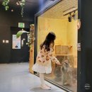 강북 가볼만한곳 서울 실내동물원 쥬니버스 동물 먹이주기 체험