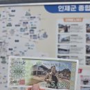 인제 자작나무숲 솔직후기, 전망대보다 더 좋았던 명당