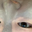 멍멍쁘띠샵 | 일상 | 홀로 1박 2일 | 호캉스 | 서울, 일산