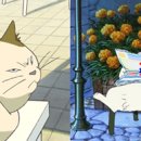 고양이의 보은 이미지