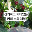 꿈나무방앗간