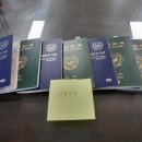 DK국제여행사