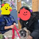 토리프로젝트 이미지