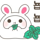 수경청과 이미지