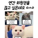 시청칼국수 이미지