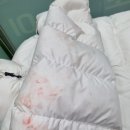 오포세탁소 이미지