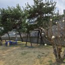 삼거리막국수 - 평창군 운두령로 1 | 삼거리막국수