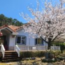 반딧불이펜션 이미지