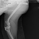 레오메디칼 이미지