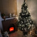 서연스테이 이미지