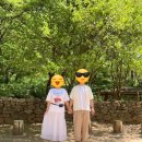 [여행일상] 문경 당일치기 여행 야유회/커플/가족여행 코스 고민이라면 이대로!