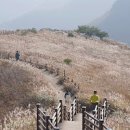 울산 가볼만한곳 영남 알프스 신불산 울산 간월재 억새군락지 시기 코스 이미지