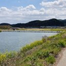 신녕천강변공원 이미지