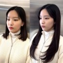 살롱드비율 이미지