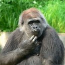 스위트허브 이미지