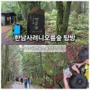 숲속에향기 | 한남사려니오름숲 예약 후 아이들과 다녀온 제주오름추천 탐방 후기
