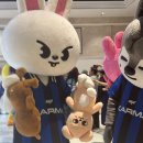 포카쿠키