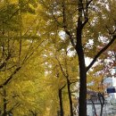 컴포즈커피 부천신중동위브점 이미지