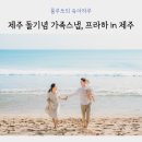 심통PC | 제주 돌스냅 가족촬영 디어프라하인제주, 숲 바다 배경 돌사진 후기
